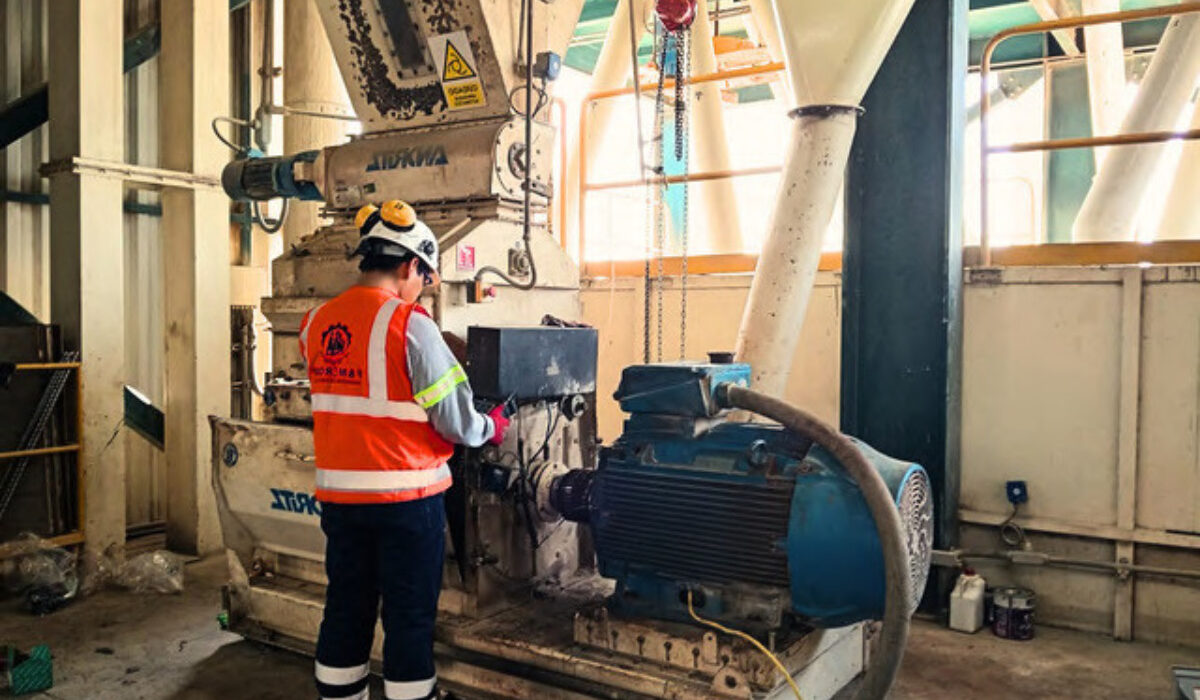 Serv 2 - Análisis Vibracional