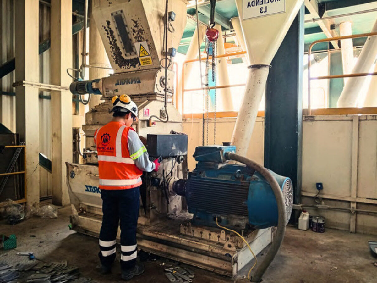 Serv 2 - Análisis Vibracional